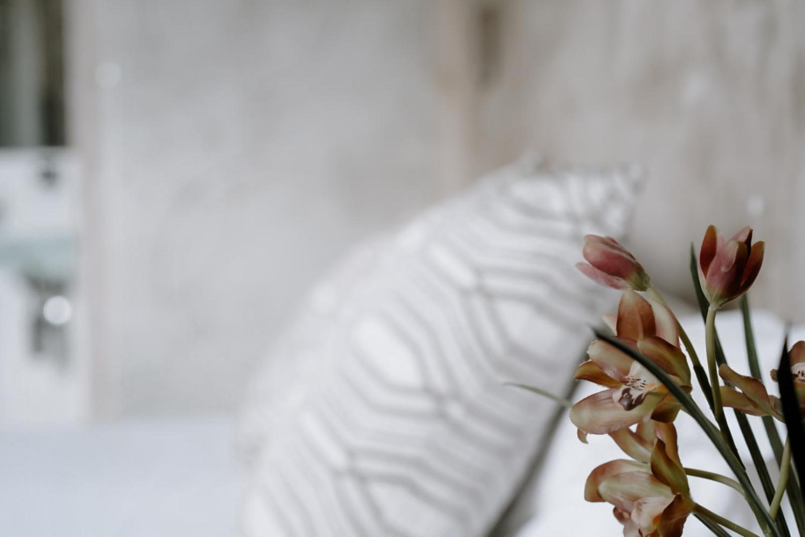 Ideal Sejour Cannes - Stylish Boutique Hotel With Quiet Garden Екстериор снимка